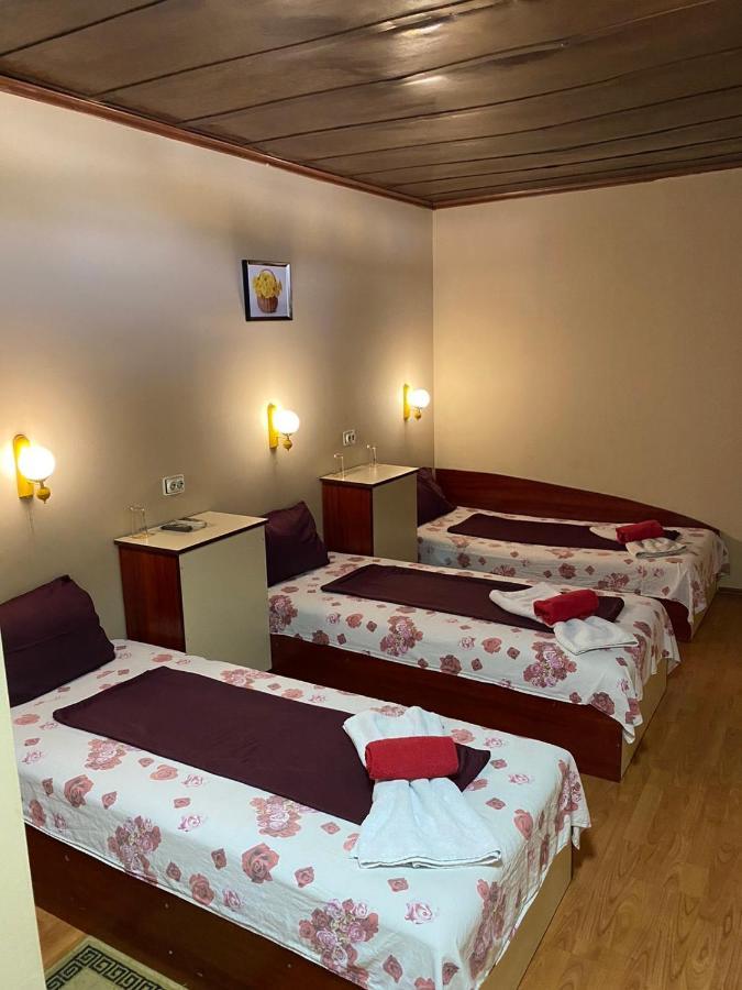 Motel Dilijans Vidin Esterno foto